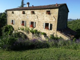 Lantställe i Marradi