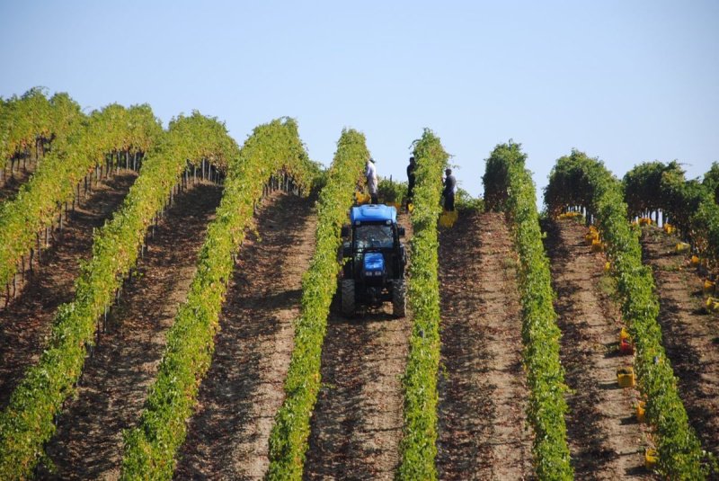 夸特罗卡斯泰拉农业公司