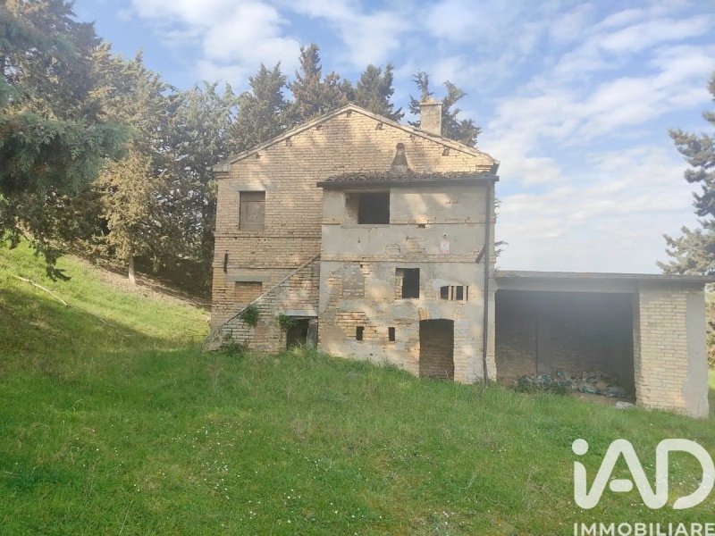 Landbouwgrond in Offida