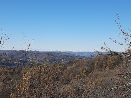 Maison individuelle à Cremolino