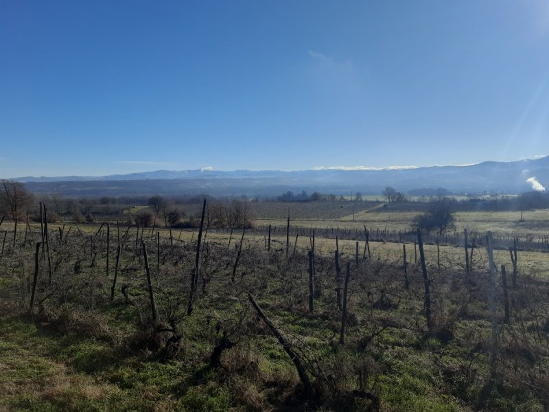 Villa i Rocca Grimalda