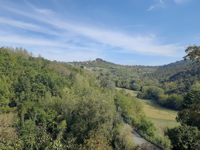 Landhaus in Cremolino