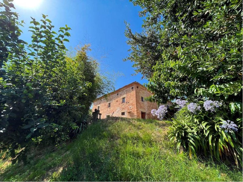 Lantställe i Osimo