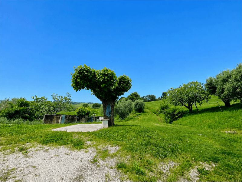 Apartment in Staffolo