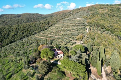 Lantställe i Tuoro sul Trasimeno