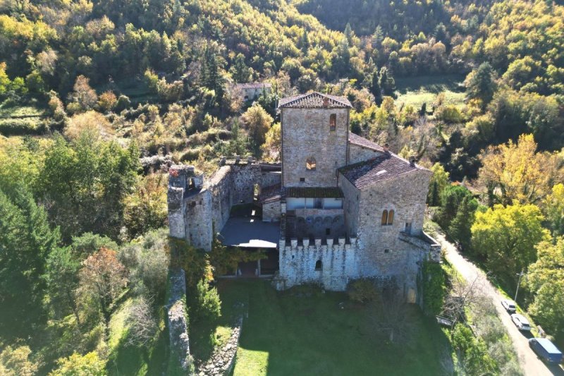 Casa a Castel San Niccolò