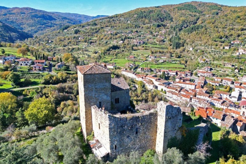Casa a Castel San Niccolò