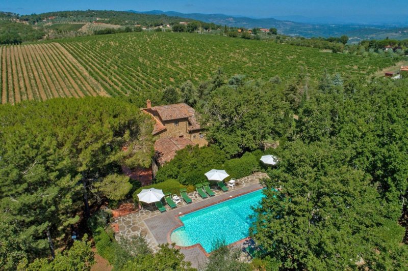 布奇内农业公司