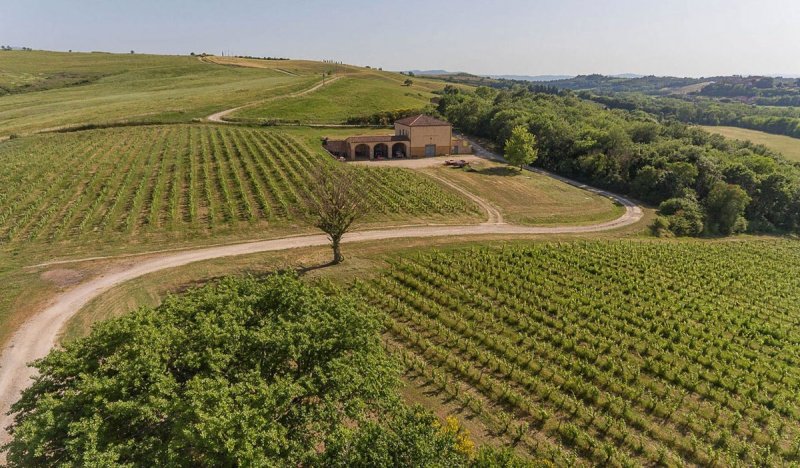 Exploitation agricole à Montalcino