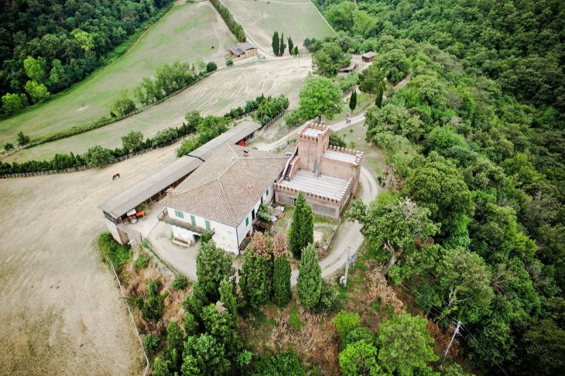 Azienda agricola a Trequanda