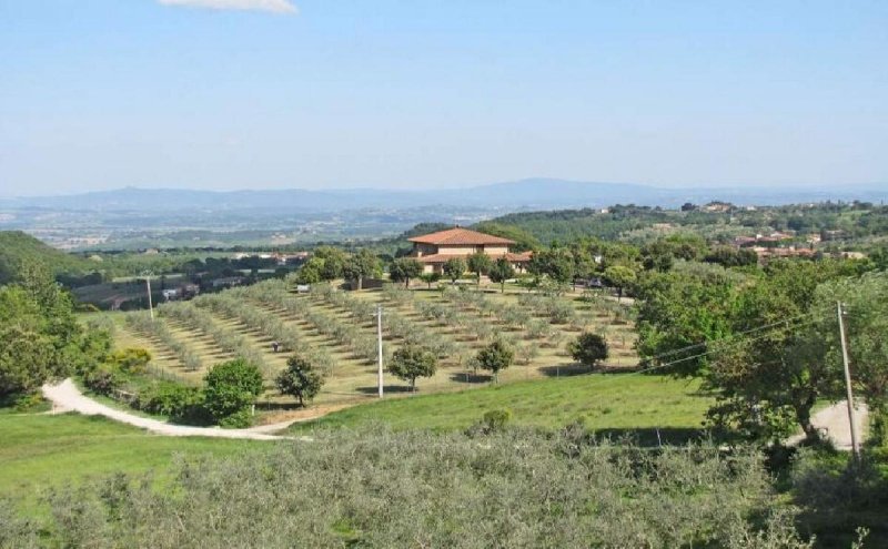 8 Bedrooms Farmhouse for sale in Montepulciano [805370] | Gate-away®
