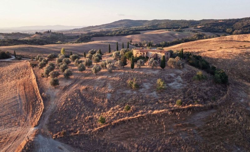 Lantställe i Asciano