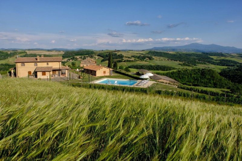 Explotación agrícola en Montalcino