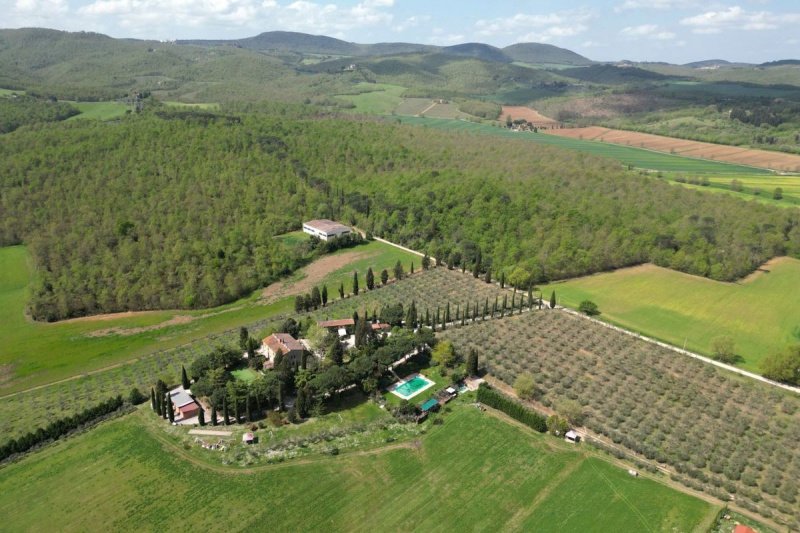 Farmhouse in Torrita di Siena