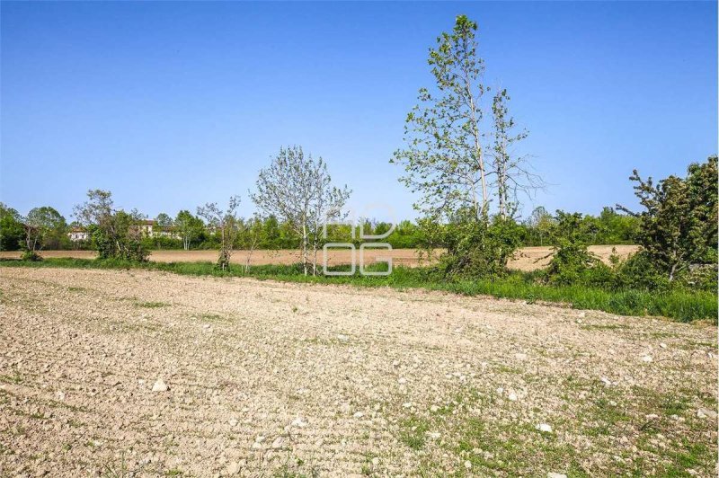 Agricultural land in Desenzano del Garda