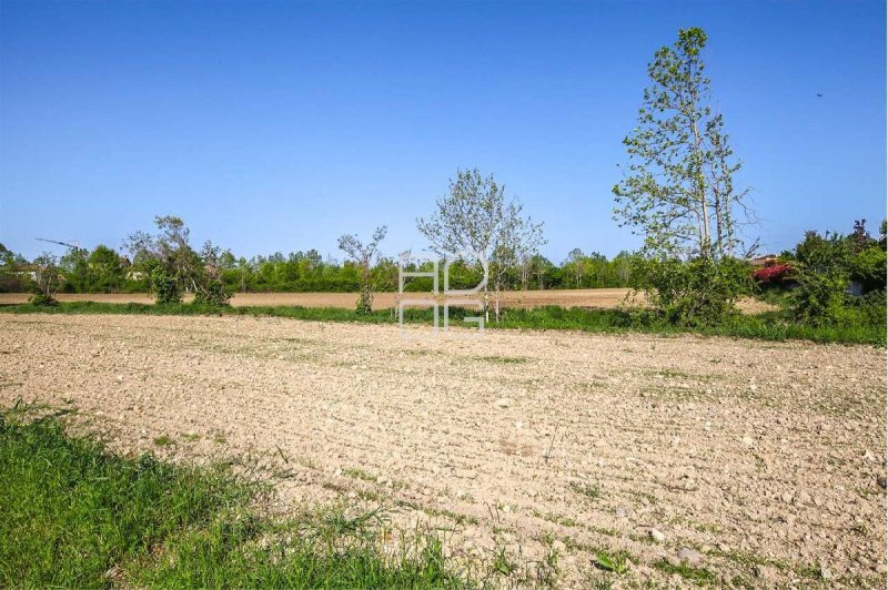 Agricultural land in Desenzano del Garda