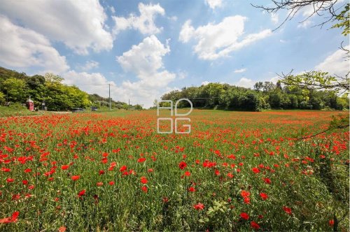 Сельскохозяйственный участок в Дезенцано-дель-Гарда