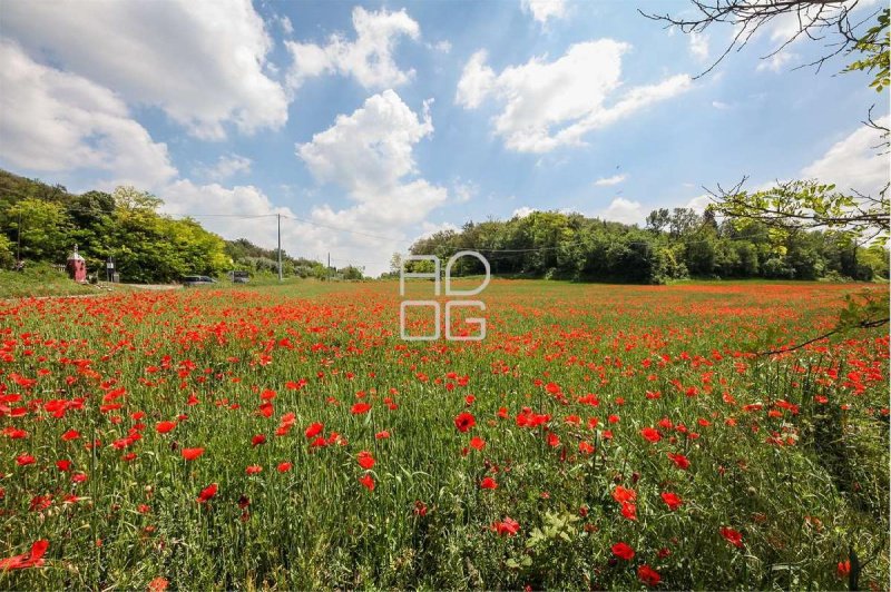 Сельскохозяйственный участок в Дезенцано-дель-Гарда