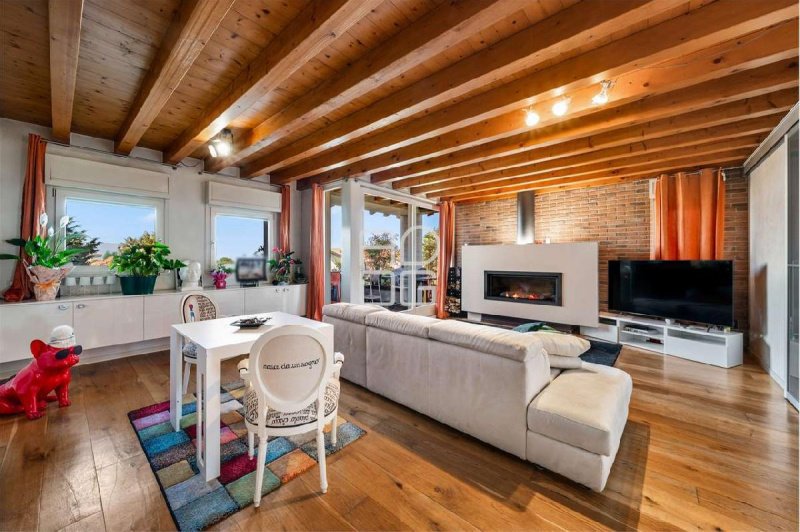 加尔达湖群滨代森扎诺阁楼