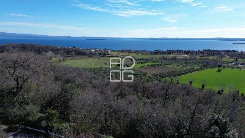 Apartment in Padenghe sul Garda