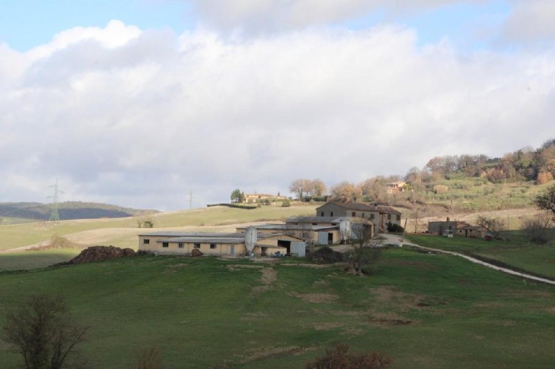 Azienda agricola a Casole d'Elsa