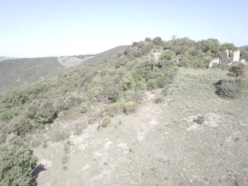 卡索莱代尔萨农舍