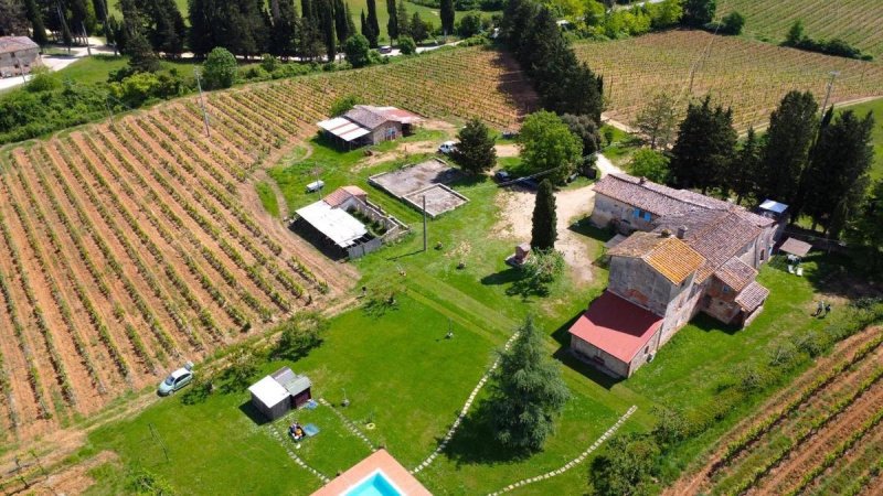 蒙特里焦尼农业公司