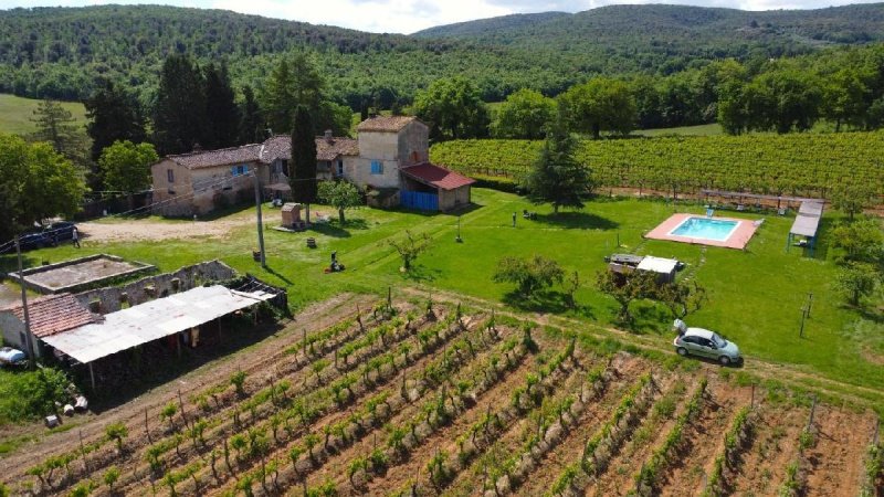 蒙特里焦尼农业公司