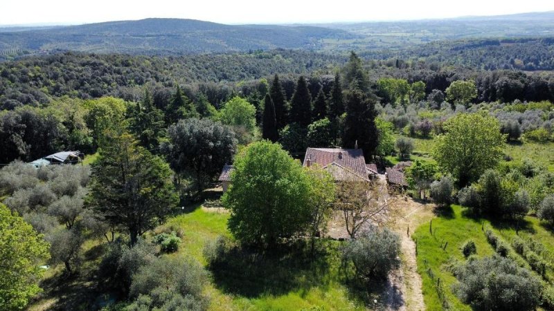 Farmhouse in Sovicille
