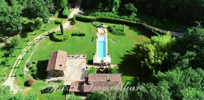 拉迪孔多利磨坊