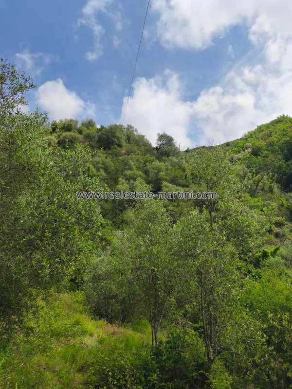 Landhaus in Apricale