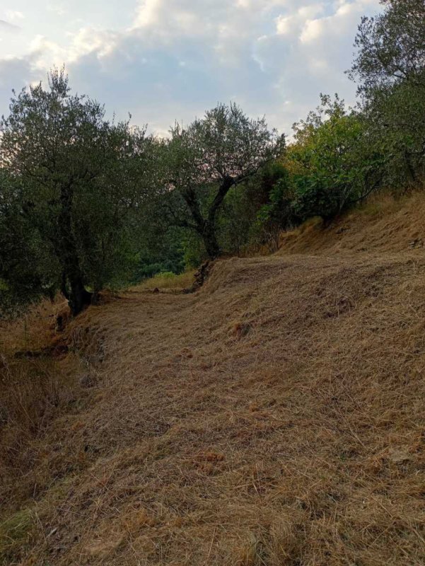 Huis op het platteland in Apricale