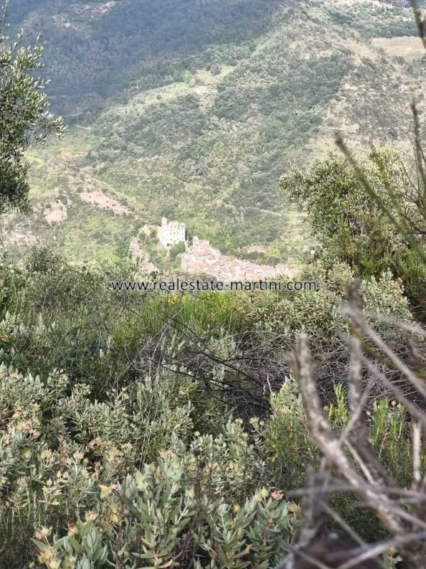 多尔切阿夸乡间房屋