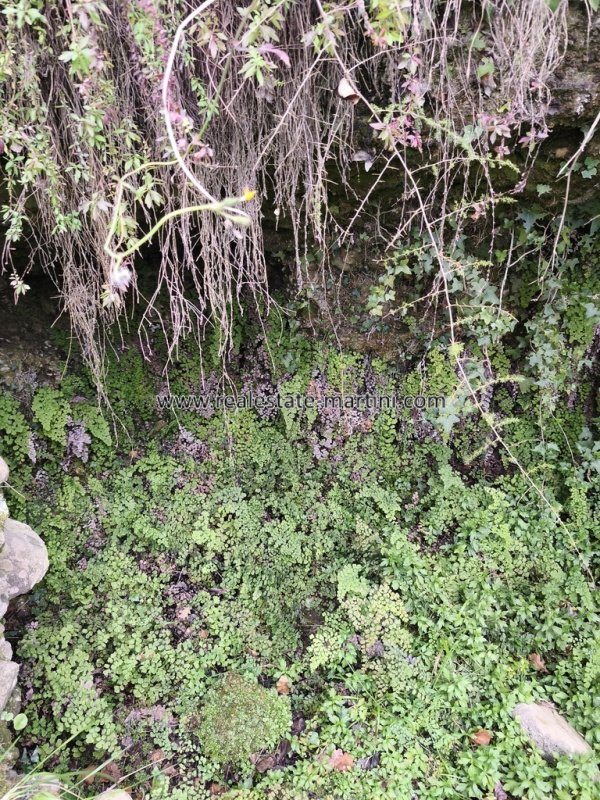 Casa de campo em Camporosso