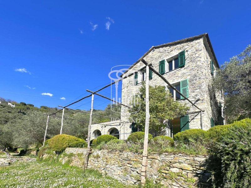 Villa à Zoagli