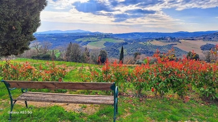 奇维泰拉帕加尼科历史性公寓