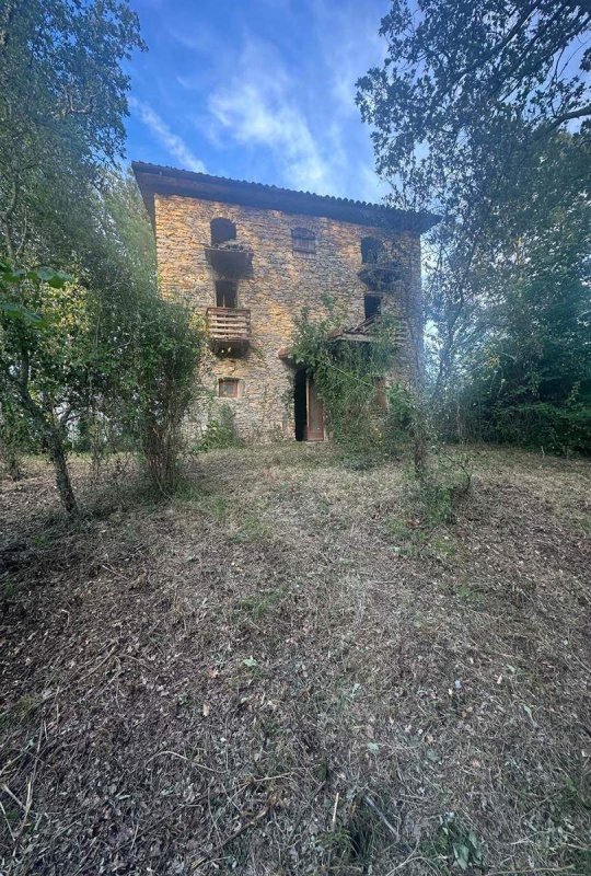 菲维扎诺独栋房屋