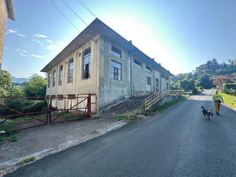 Wohnung in Fivizzano