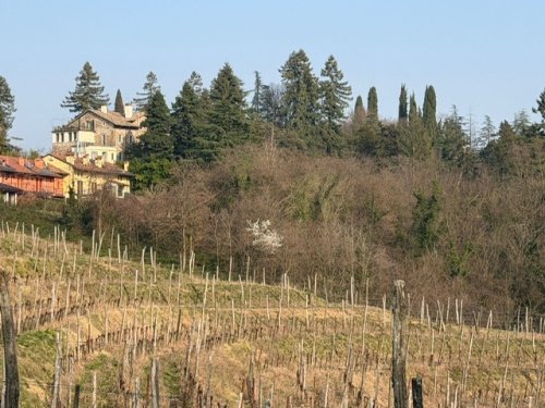 Villa in Buttrio