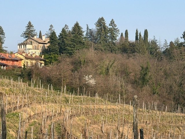 Villa in Buttrio