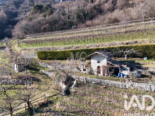 Terrain agricole à Villa Lagarina