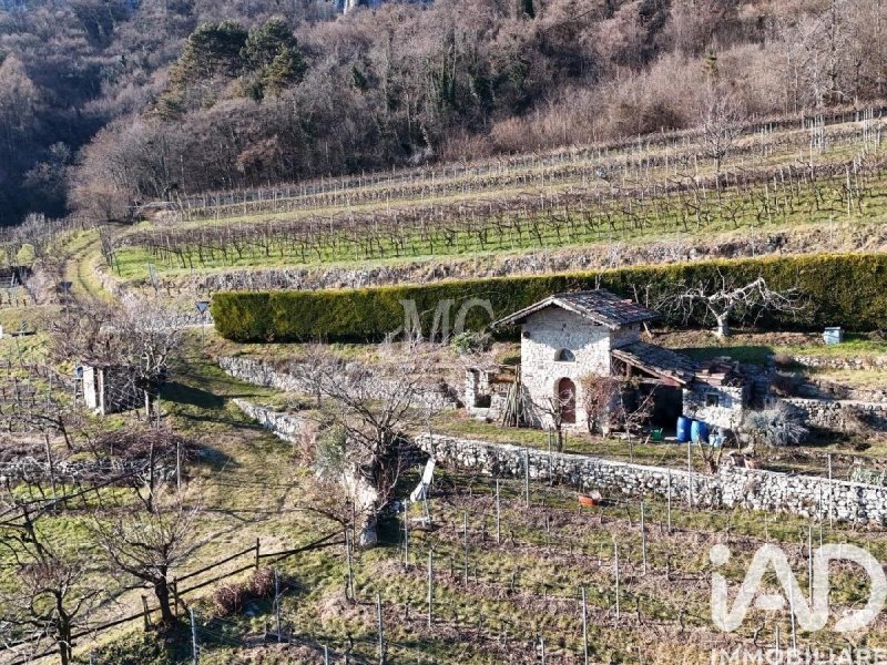 Terrain agricole à Villa Lagarina