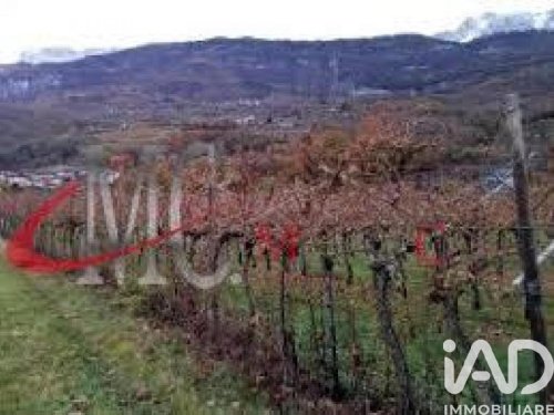 Landbouwgrond in Rovereto