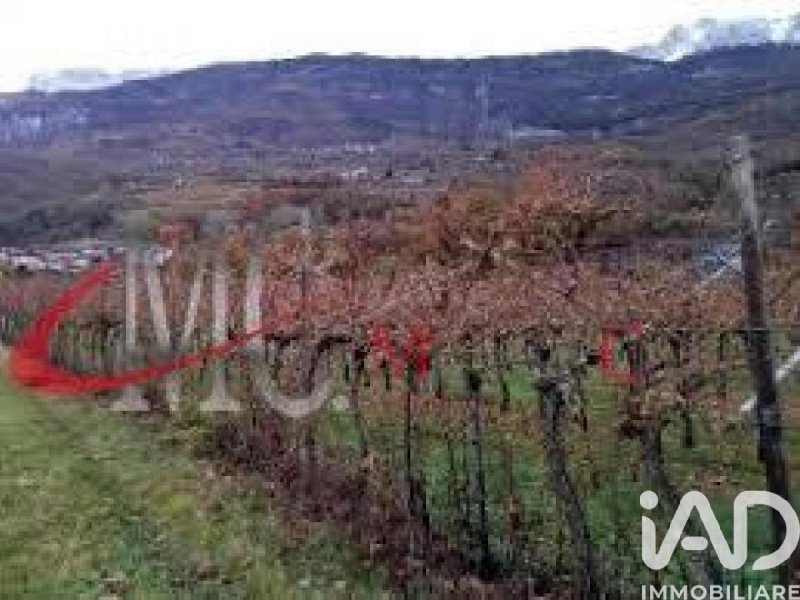 Landbouwgrond in Rovereto