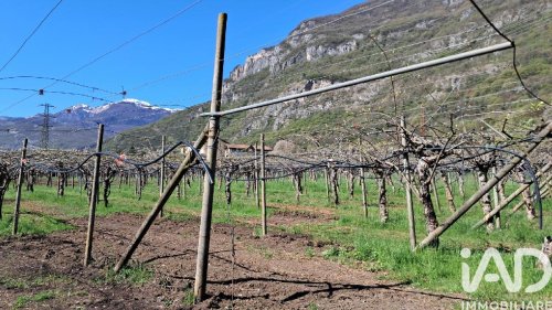 Terreno agrícola en Mori