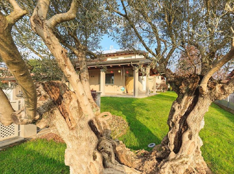 Villa i Carpaneto Piacentino