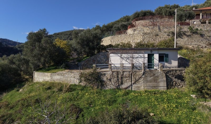 Detached house in Taggia