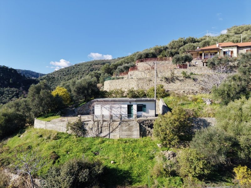 Detached house in Taggia