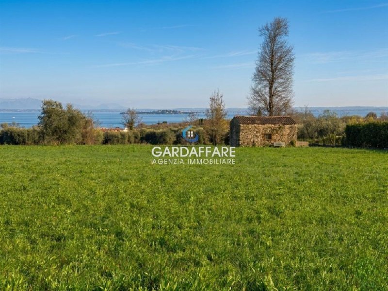 Terrain agricole à Manerba del Garda