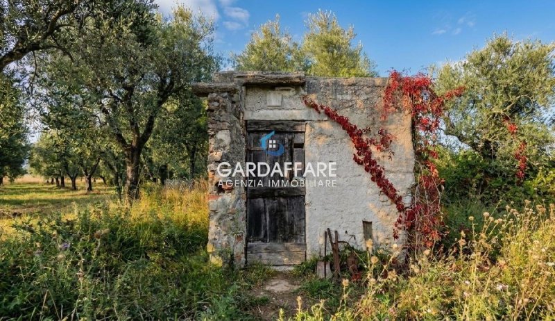 Agricultural land for sale in Manerba Del Garda [813170] | Gate-away®
